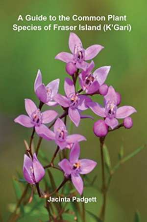 A Guide to the Common Plant Species of Fraser Island (K'Gari) de Jacinta Padgett