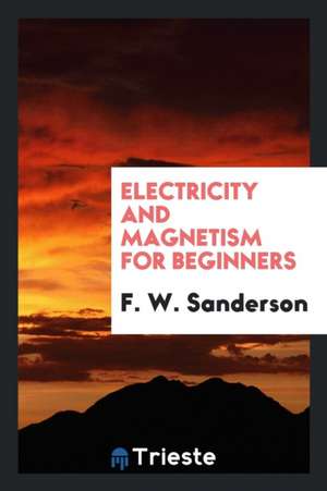 Electricity and Magnetism for Beginners de F. W. Sanderson