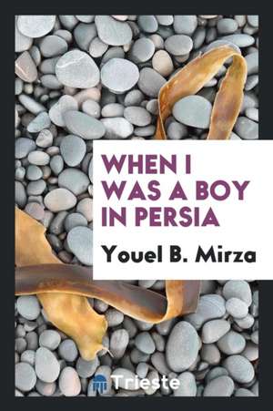 When I Was a Boy in Persia de Youel B. Mirza