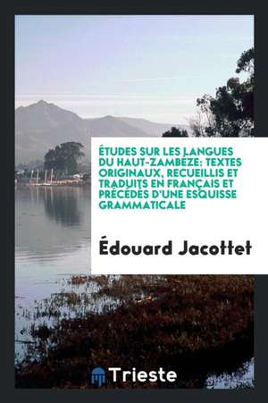 Études Sur Les Langues Du Haut-Zambèze: Textes Originaux, Recueillis Et Traduits En Français Et Précédés d'Une Esquisse Grammaticale de Edouard Jacottet