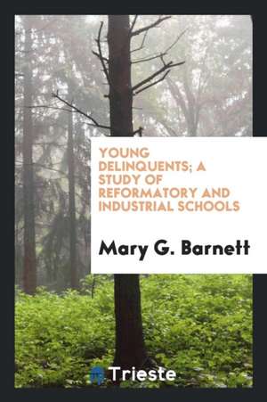 Young Delinquents; A Study of Reformatory and Industrial Schools de Mary G. Barnett