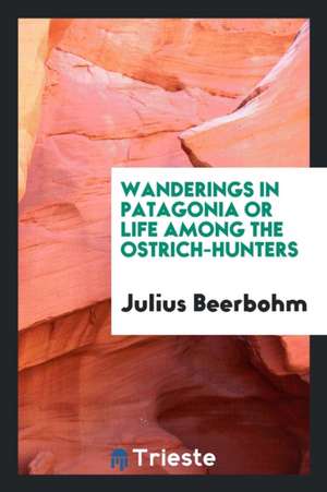 Wanderings in Patagonia; Or, Life Among the Ostrich-Hunters; de Julius Beerbohm