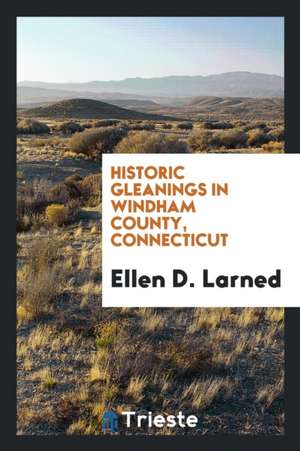 Windham County, Conn., Business Directory; Containing the Names, Business and Location of All the Business Men in the County, Agricultural, Manufactur de Ellen D. Larned