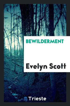 Bewilderment de Evelyn Scott