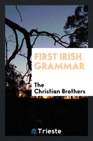 First Irish Grammar de Various