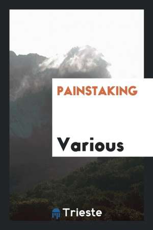 Painstaking de Various