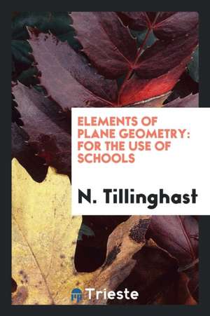 Elements of Plane Geometry: For the Use of Schools de N. Tillinghast