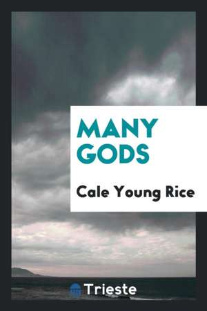 Many Gods de Cale Young Rice