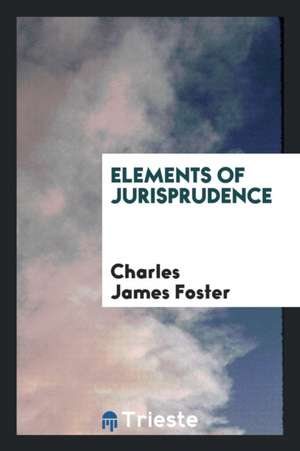 Elements of Jurisprudence de Charles James Foster