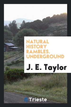 Underground de J. E. Taylor