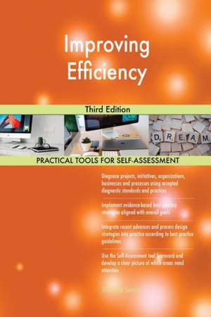 Improving Efficiency Third Edition de Gerardus Blokdyk