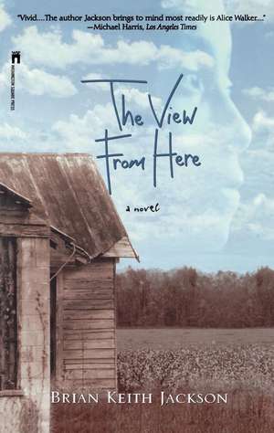 The View From Here de Brian Keith Jackson