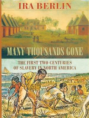 Many Thousands Gone – The First Two Centuries of Slavery in North America (Paper) de Ira Berlin