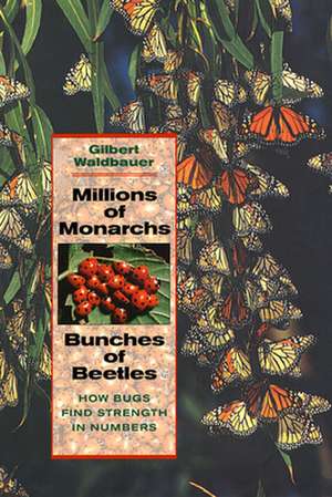 Millions of Monarchs, Bunches of Beetles – How Bugs Find Strength in Numbers de Gilbert Waldbauer