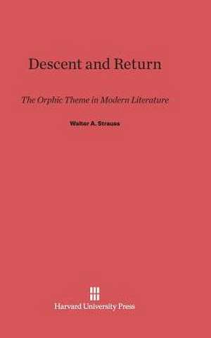 Descent and Return de Walter A. Strauss