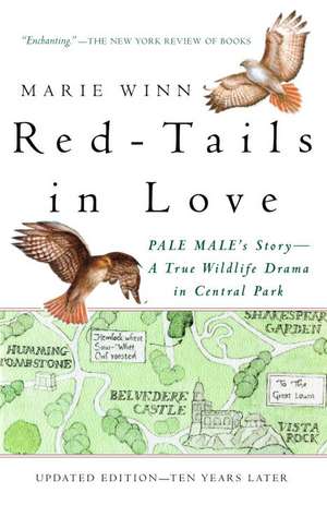 Red-Tails in Love: A Wildlife Drama in Central Park de Marie Winn