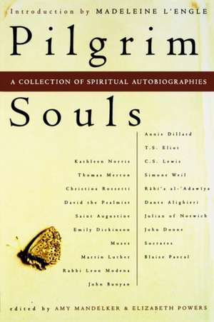 Pilgrim Souls de Amy Mandelker