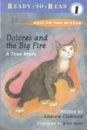 Dolores and the Big Fire de Andrew Clements