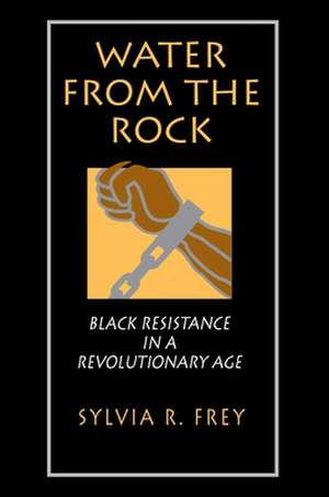 Water from the Rock – Black Resistance in a Revolutionary Age de Sylvia R. Frey