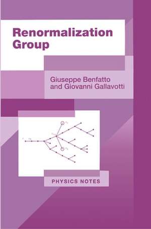 Renormalization Group de Giuseppe Benfatto