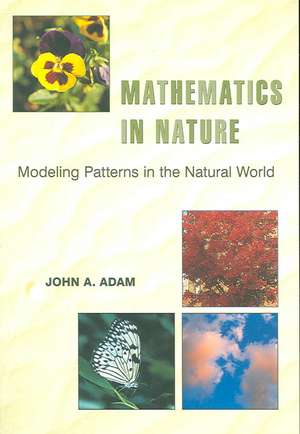 Mathematics in Nature – Modeling Patterns in the Natural World de John Adam