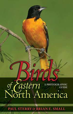 Birds of Eastern North America – A Photographic Guide de Paul Sterry