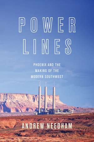 Power Lines – Phoenix and the Making of the Modern Southwest de Ta Needham