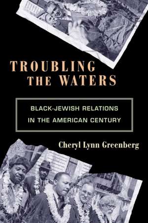 Troubling the Waters – Black–Jewish Relations in the American Century de Cheryl Lynn Greenberg