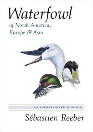 Waterfowl of North America, Europe, and Asia – An Identification Guide de Sebastien Reeber