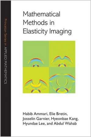 Mathematical Methods in Elasticity Imaging de Habib Ammari