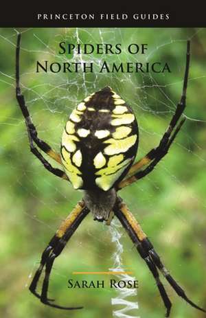 Spiders of North America de Sarah Rose