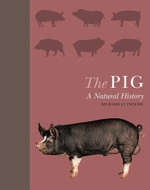 The Pig de Richard Lutwyche