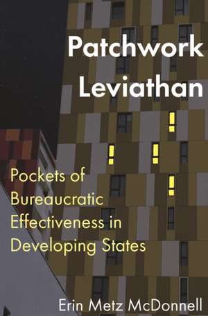 Patchwork Leviathan – Pockets of Bureaucratic Effectiveness in Developing States de Erin Metz Mcdonnell