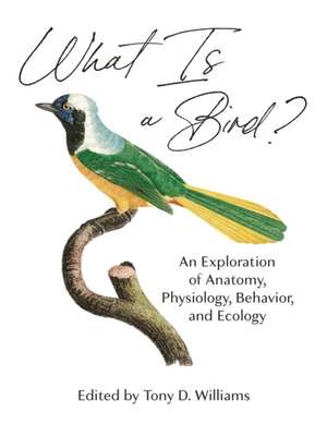 What Is a Bird? – An Exploration of Anatomy, Physiology, Behavior, and Ecology de Tony D. Williams