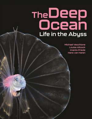 The Deep Ocean – Life in the Abyss de Michael Vecchione