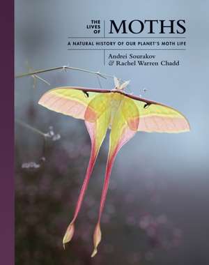 The Lives of Moths – A Natural History of Our Planet′s Moth Life de Andrei Sourakov