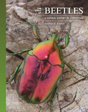 The Lives of Beetles – A Natural History of Coleoptera de Arthur V. Evans