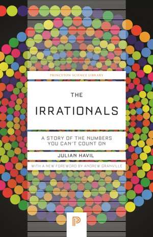 The Irrationals – A Story of the Numbers You Can′t Count On de Julian Havil