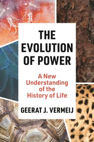 The Evolution of Power – A New Understanding of the History of Life de Geerat Vermeij