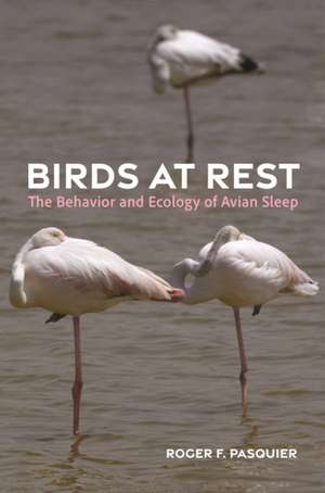 Birds at Rest de Roger F. Pasquier