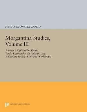 Morgantina Studies, Volume III – Fornaci e Officine da Vasaio Tardo–ellenistiche. (In Italian) (Late Hellenistic Potters` Kilns and Work de Ninina Cuomo Di Caprio