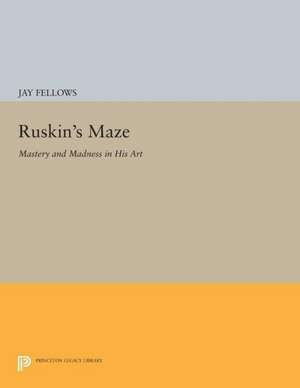 Ruskin`s Maze – Mastery and Madness in His Art de Jay Fellows