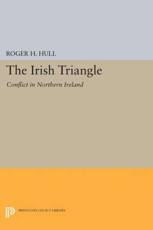 The Irish Triangle – Conflict in Northern Ireland de Roger H. Hull