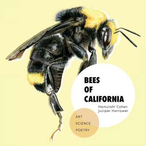 Bees of California de Hamutahl Cohen