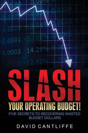 Slash Your Operating Budget! de David Cantliffe