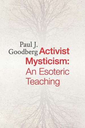 Activist Mysticism de Paul Goodberg