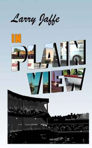 In Plain View de Larry Jaffe