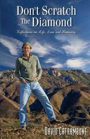 Don't Scratch the Diamond de David Catrambone