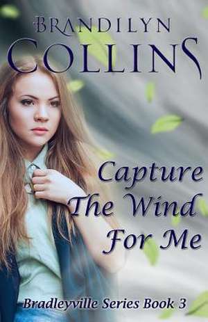 Capture the Wind for Me de Brandilyn Collins