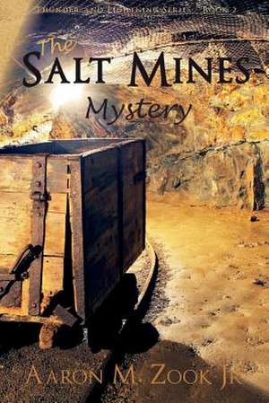 The Salt Mines Mystery: Destined to Succeed and to Be Great de Zook Jr, Aaron M.